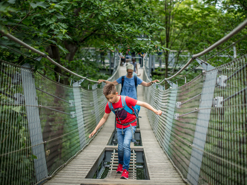 Baumwipfelpfad_cropped_komp_800x600px