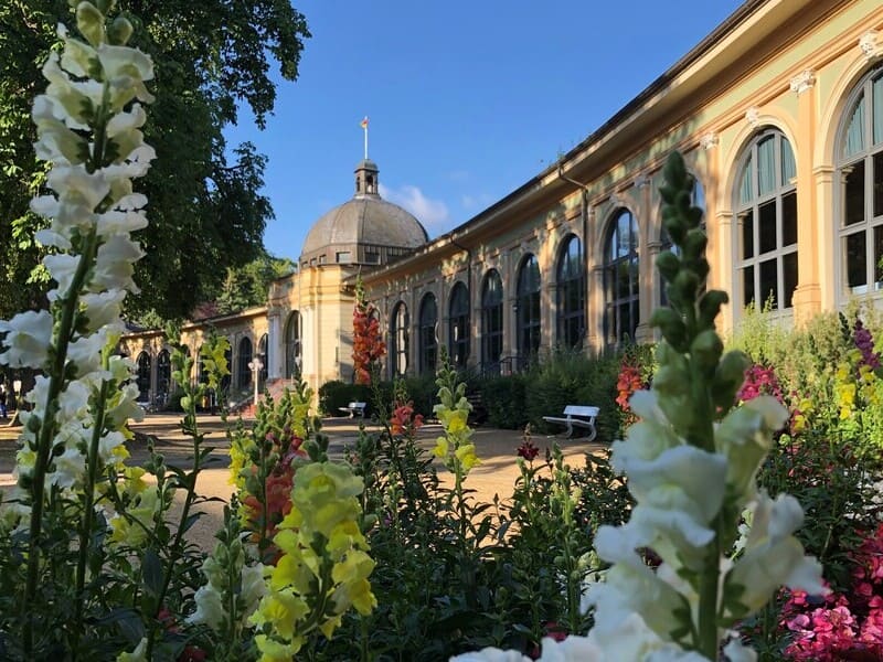 Wandelhalle-Blumen_cropped_komp_800x600px